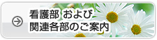 �֘A�e���̂��ē�